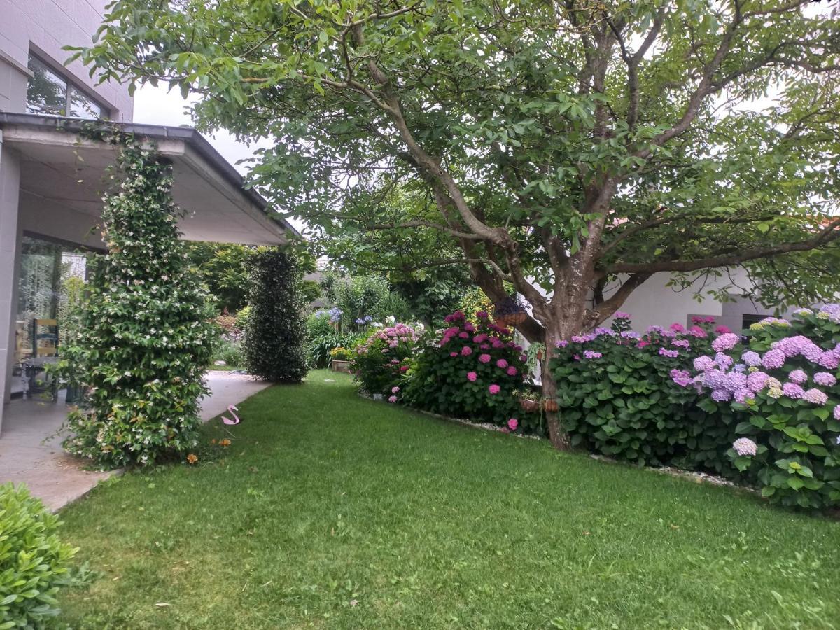 En Casa Moderna Con Jardin Séjour chez l'habitant Santa Cruz De Bezana